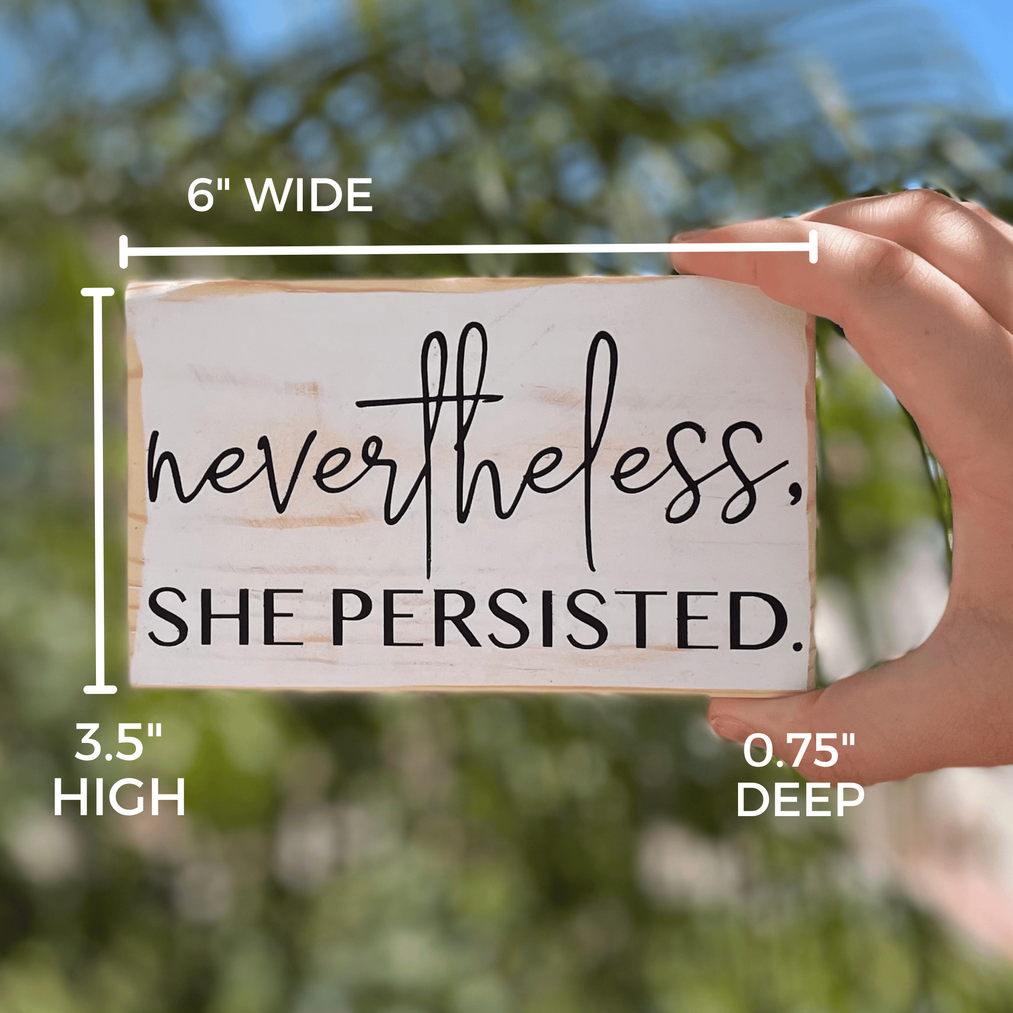 Shows the dimensions of the sign which are 6" wide, 3.5" high and 0.75" deep.