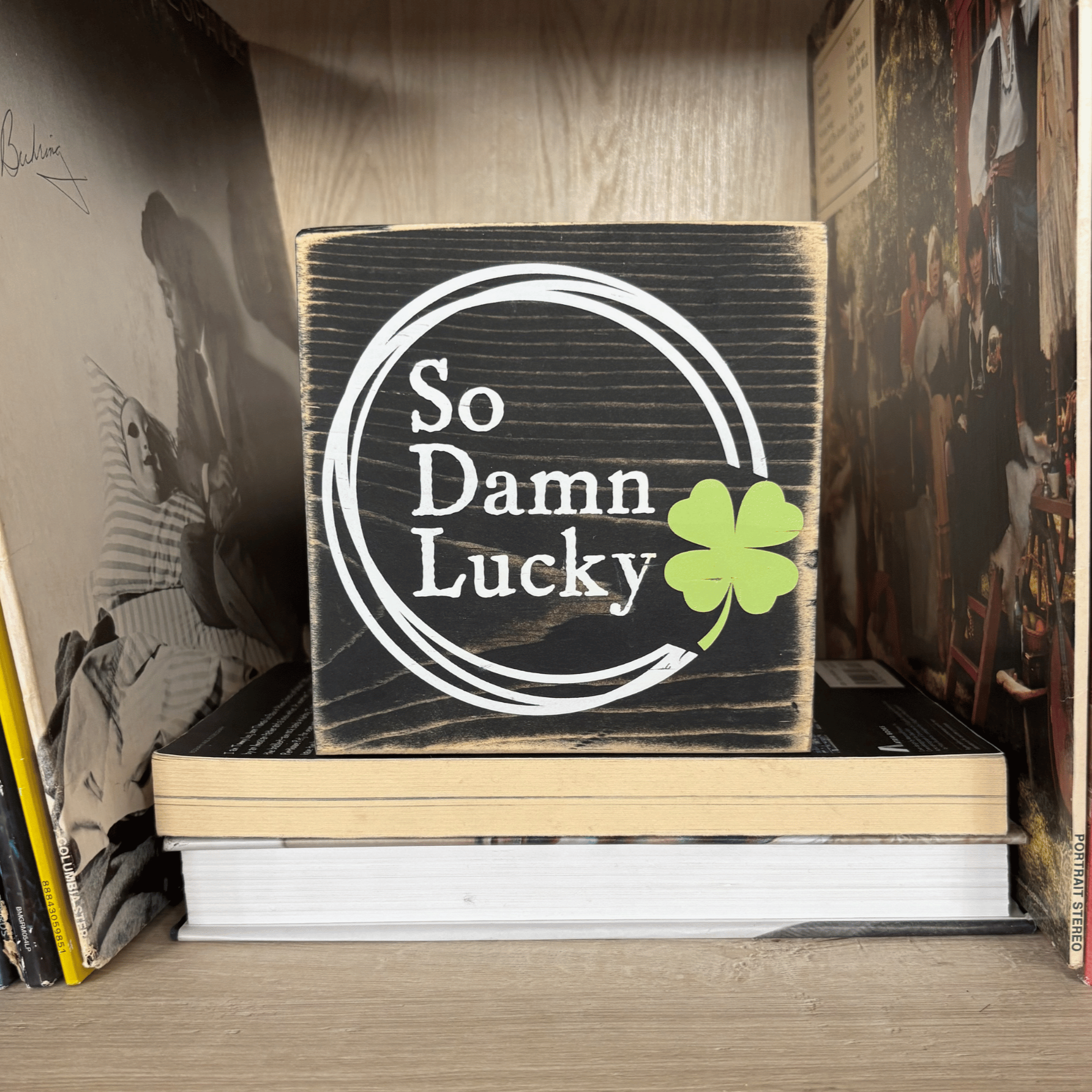 Decorative sign with 'So Damn Lucky' text and clover on a bookshelf.